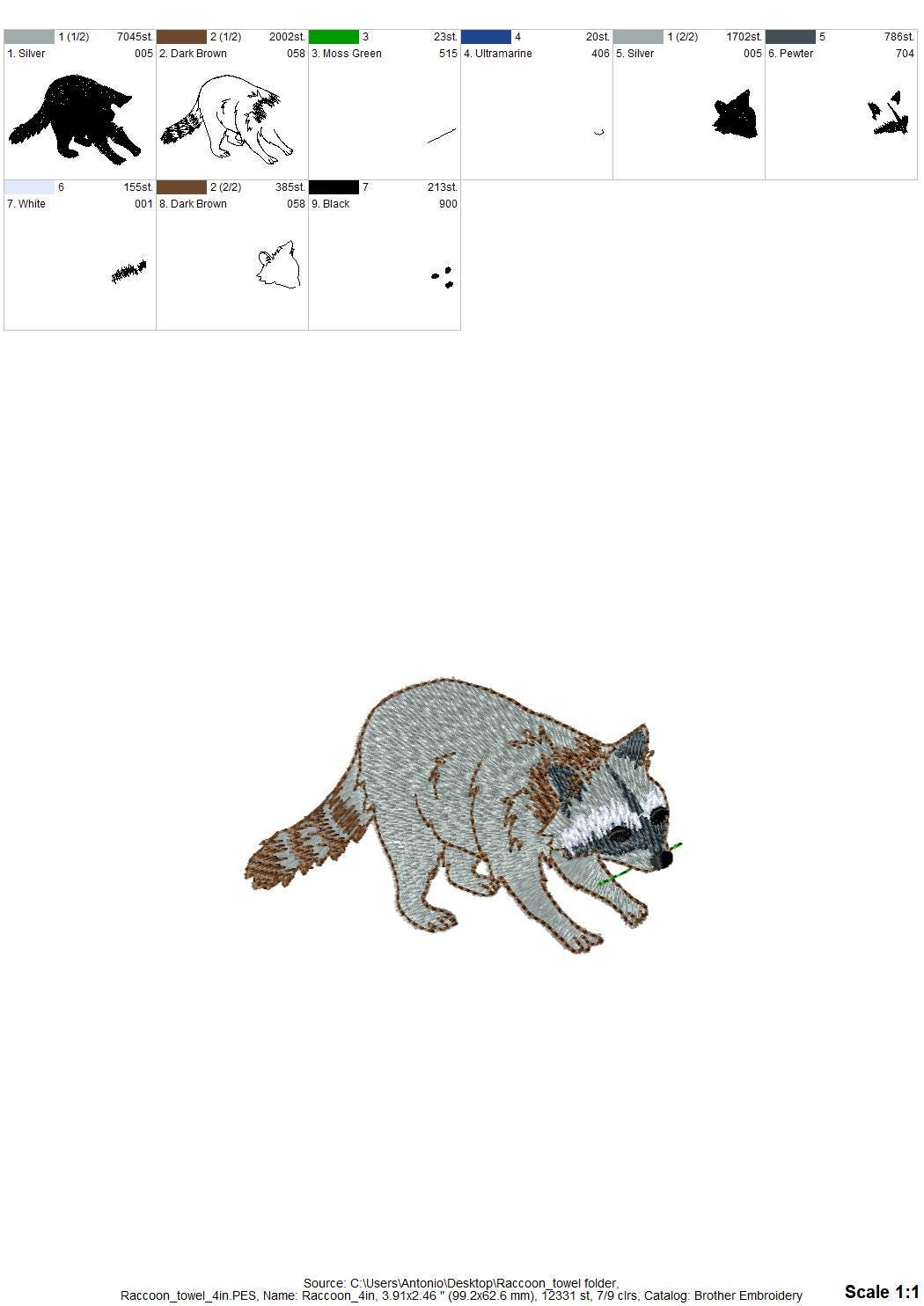 Playing Raccoon Cub