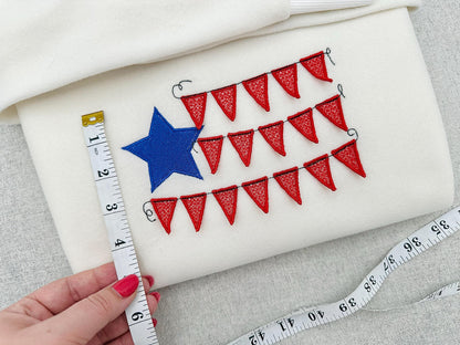 Patriotic Banner Flag 3D