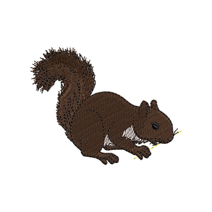 Playing Squirrel ITH