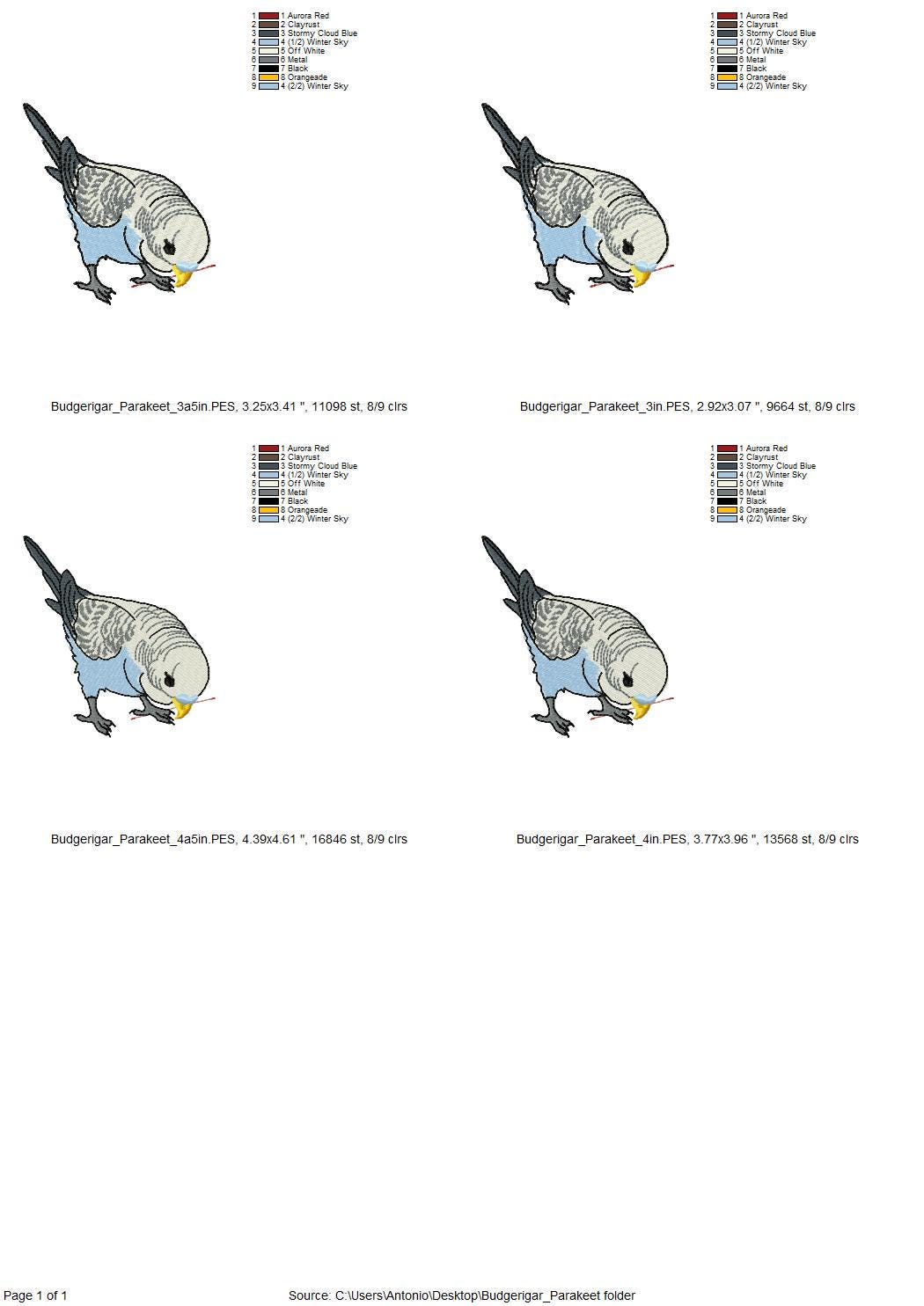 Budgerigar Parakeet Budgie Parrot