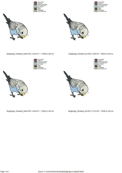 Budgerigar Parakeet Budgie Parrot