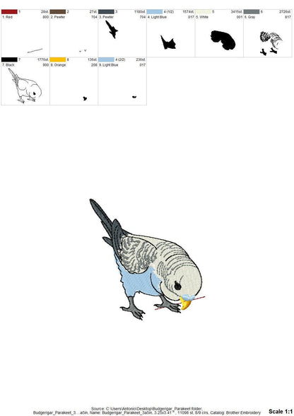Budgerigar Parakeet Budgie Parrot