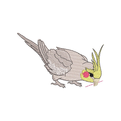 Cockatiel Parrot Thief ITH