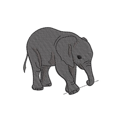 Playing Baby Elephant