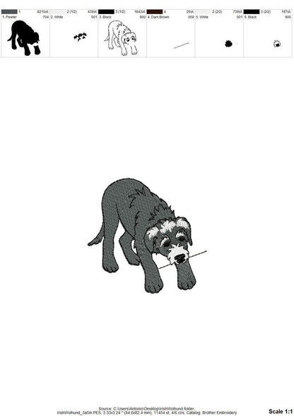 Playing Irish Wolfhound Puppy