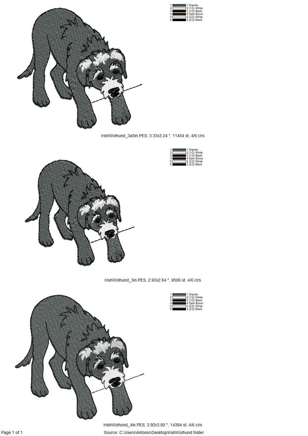 Playing Irish Wolfhound Puppy