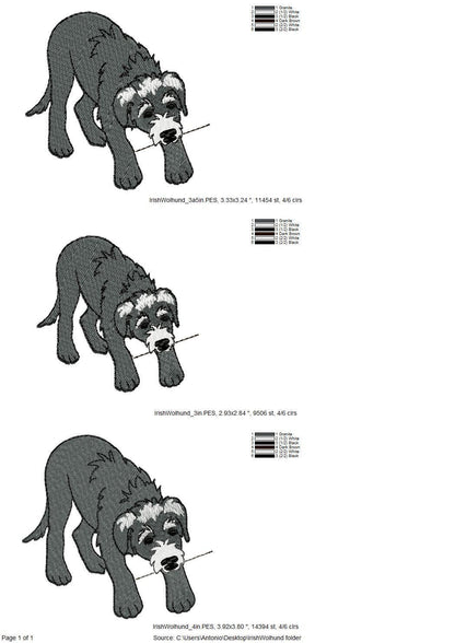 Playing Irish Wolfhound Puppy