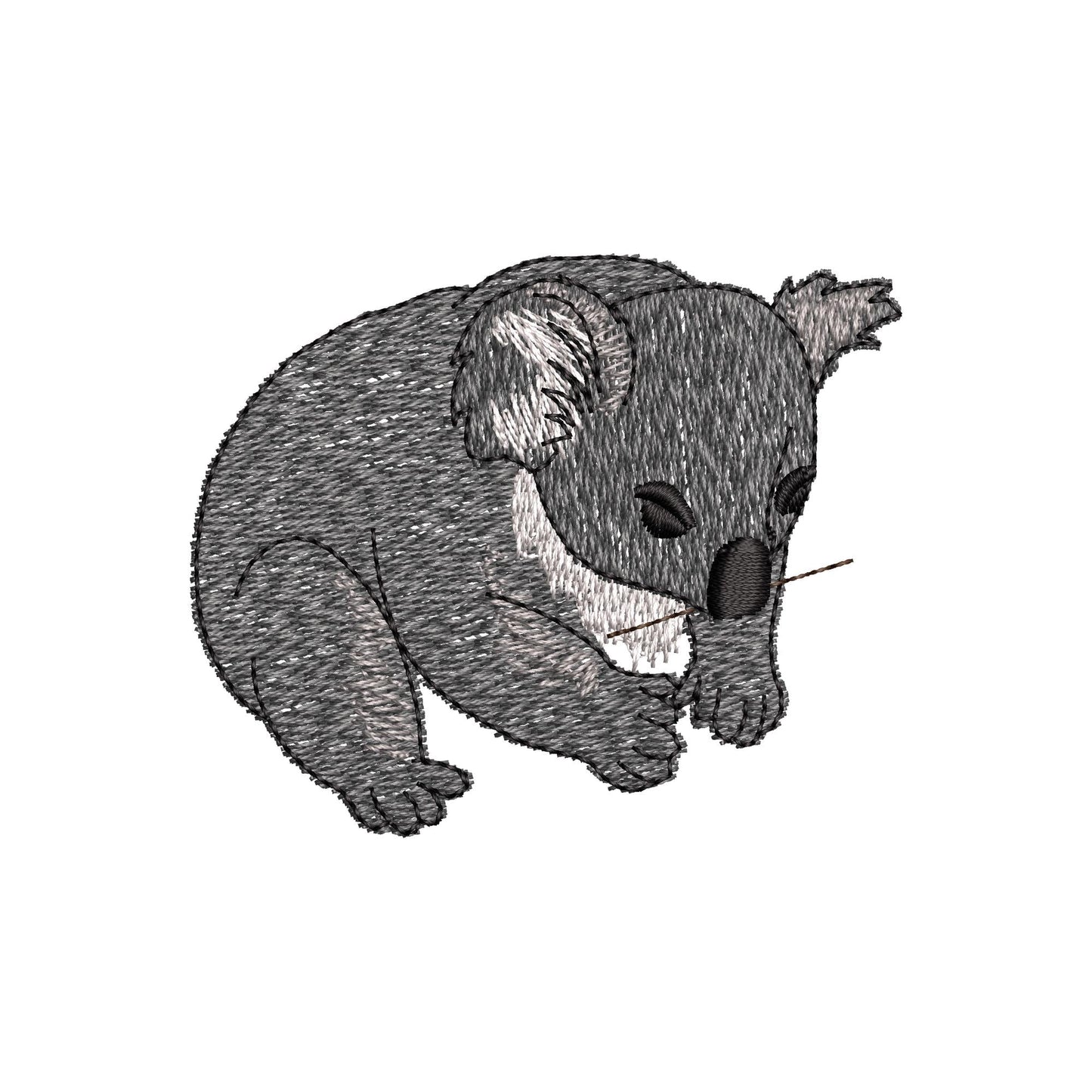 Playing Baby Koala