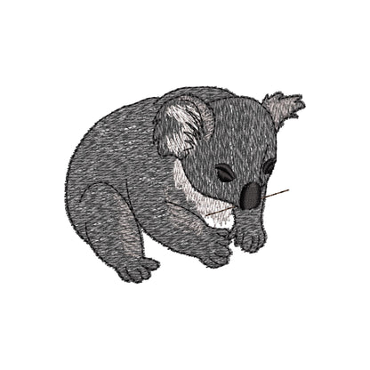 Playing Baby Koala