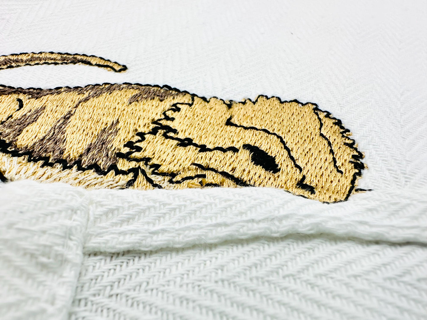 Playing Bearded Dragon Gecko