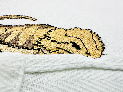 Playing Bearded Dragon Gecko