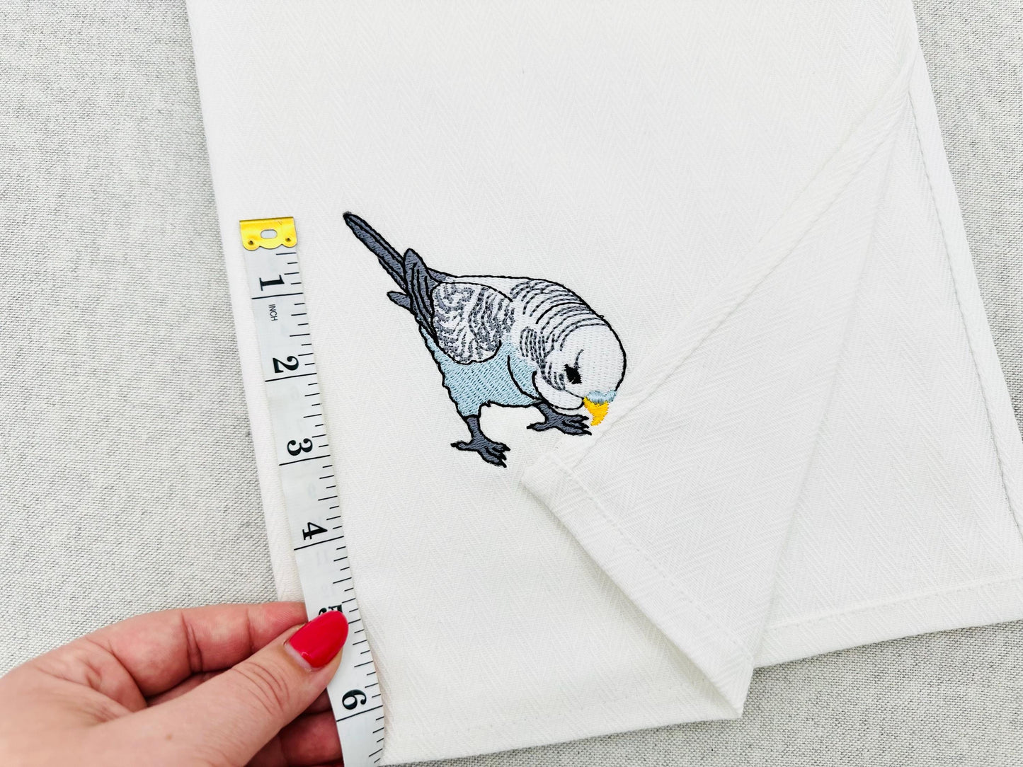 Budgerigar Parakeet Budgie Parrot