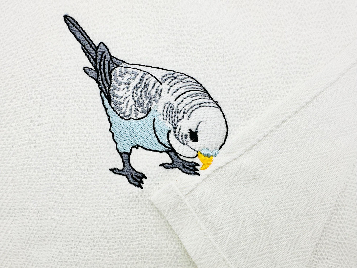 Budgerigar Parakeet Budgie Parrot