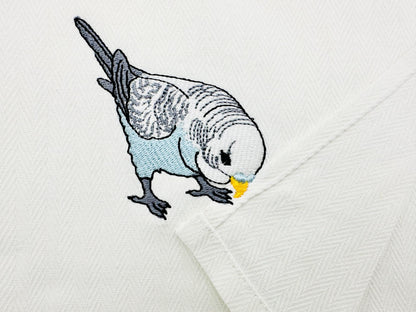 Budgerigar Parakeet Budgie Parrot