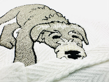 Playing Irish Wolfhound Puppy