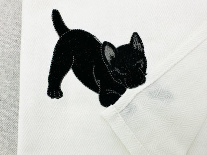 Playing Schipperke Puppy
