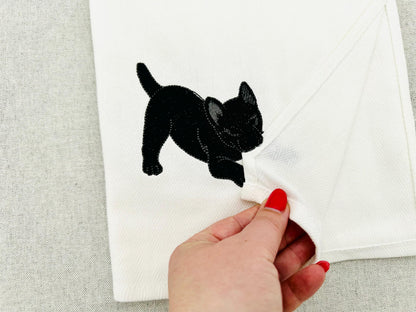 Playing Schipperke Puppy