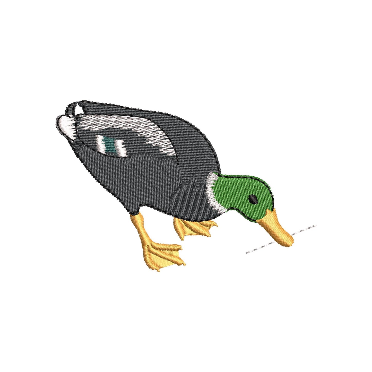 Naughty Mallard Duck