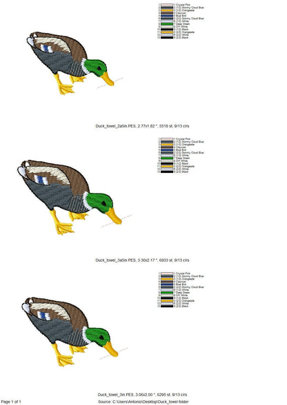 Naughty Mallard Duck