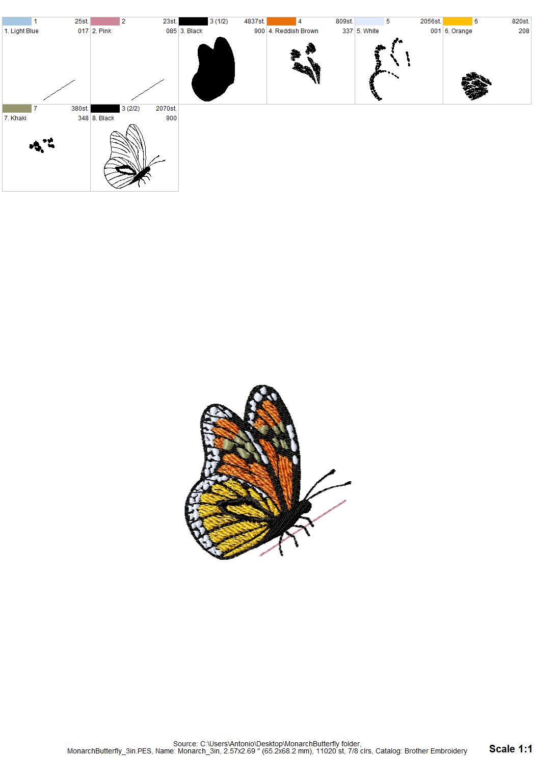 Beautiful Summer Butterfly Monarch