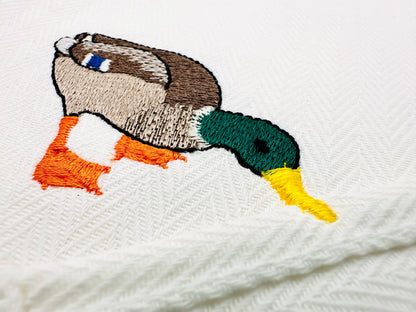 Naughty Mallard Duck