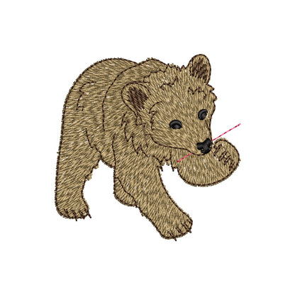 Playing Baby Bear Cub