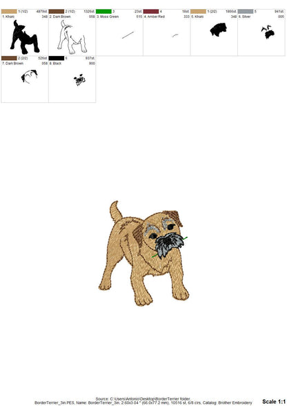 Playing Border Terrier Puppy