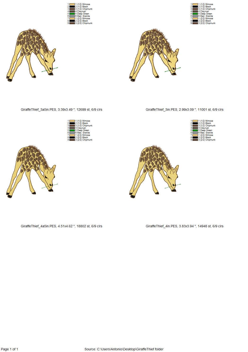 Playing Baby Giraffe