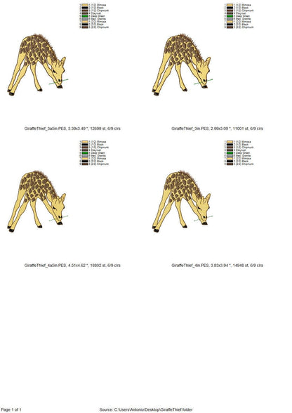 Playing Baby Giraffe