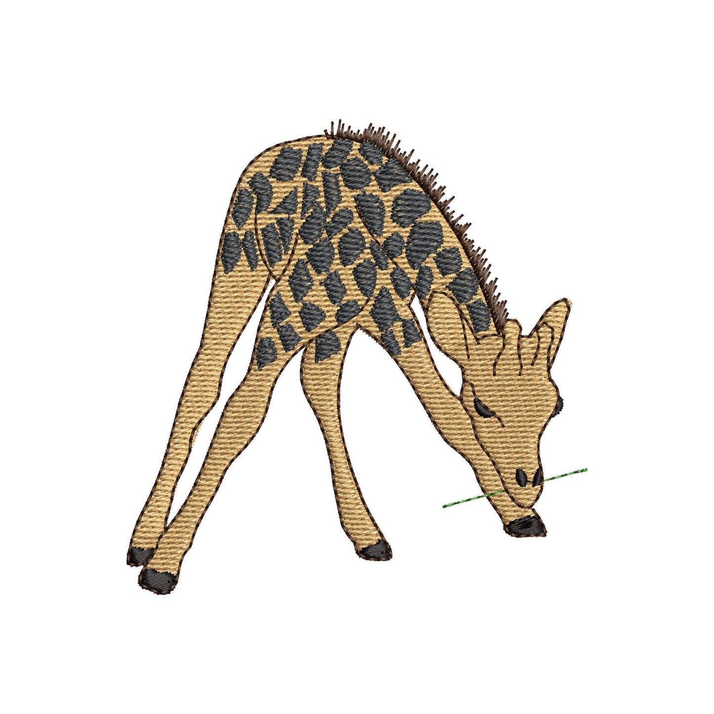 Playing Baby Giraffe