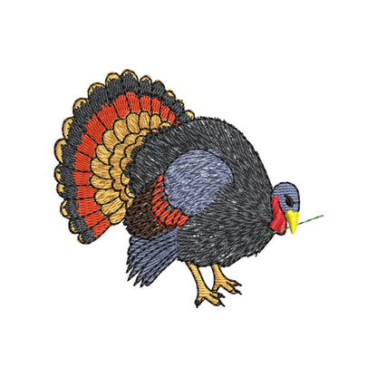 Naughty Turkey