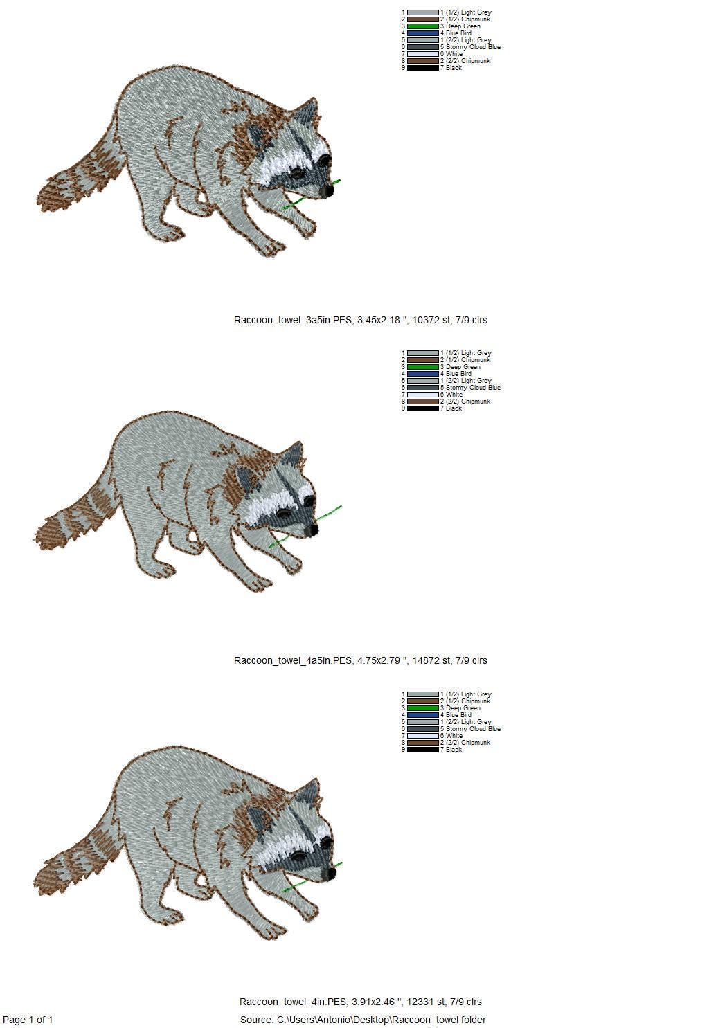Playing Raccoon Cub