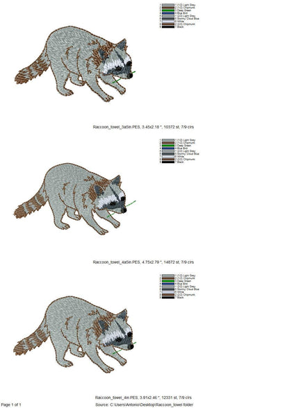 Playing Raccoon Cub