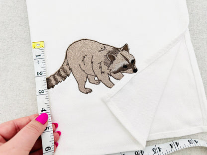 Playing Raccoon Cub