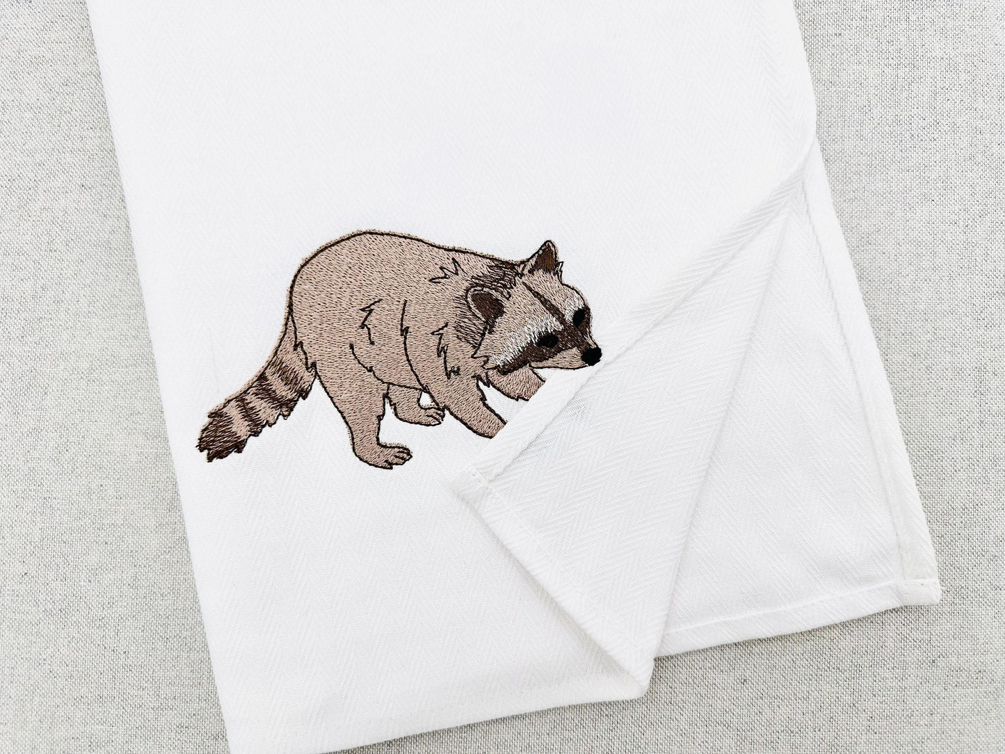 Playing Raccoon Cub