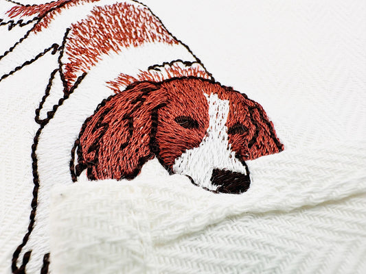 Playing Springer Spaniel Puppy