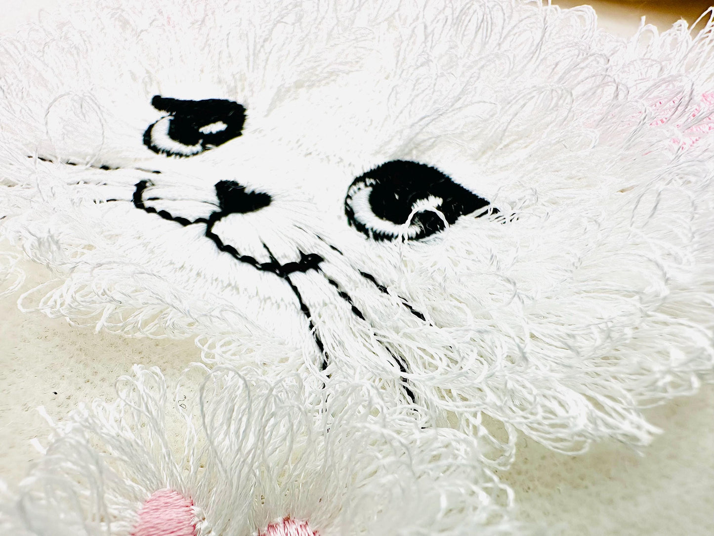 Little Fluffy Kitty