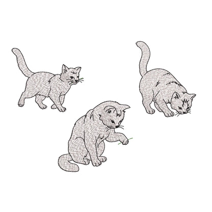 Playing Kitty Cat Set