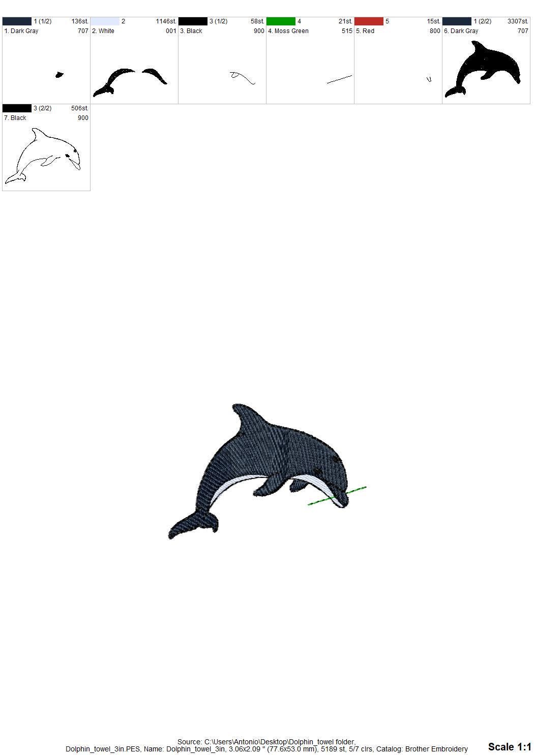 Playing Dolphin Thief