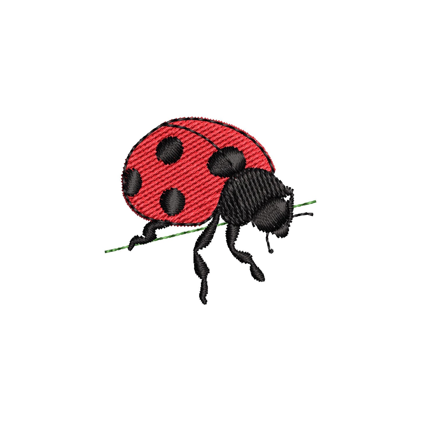Summer Ladybug Thief