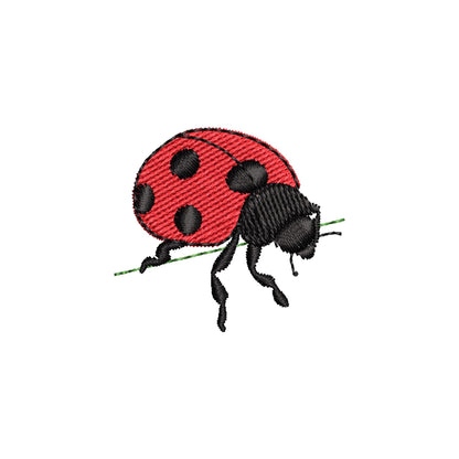 Summer Ladybug Thief