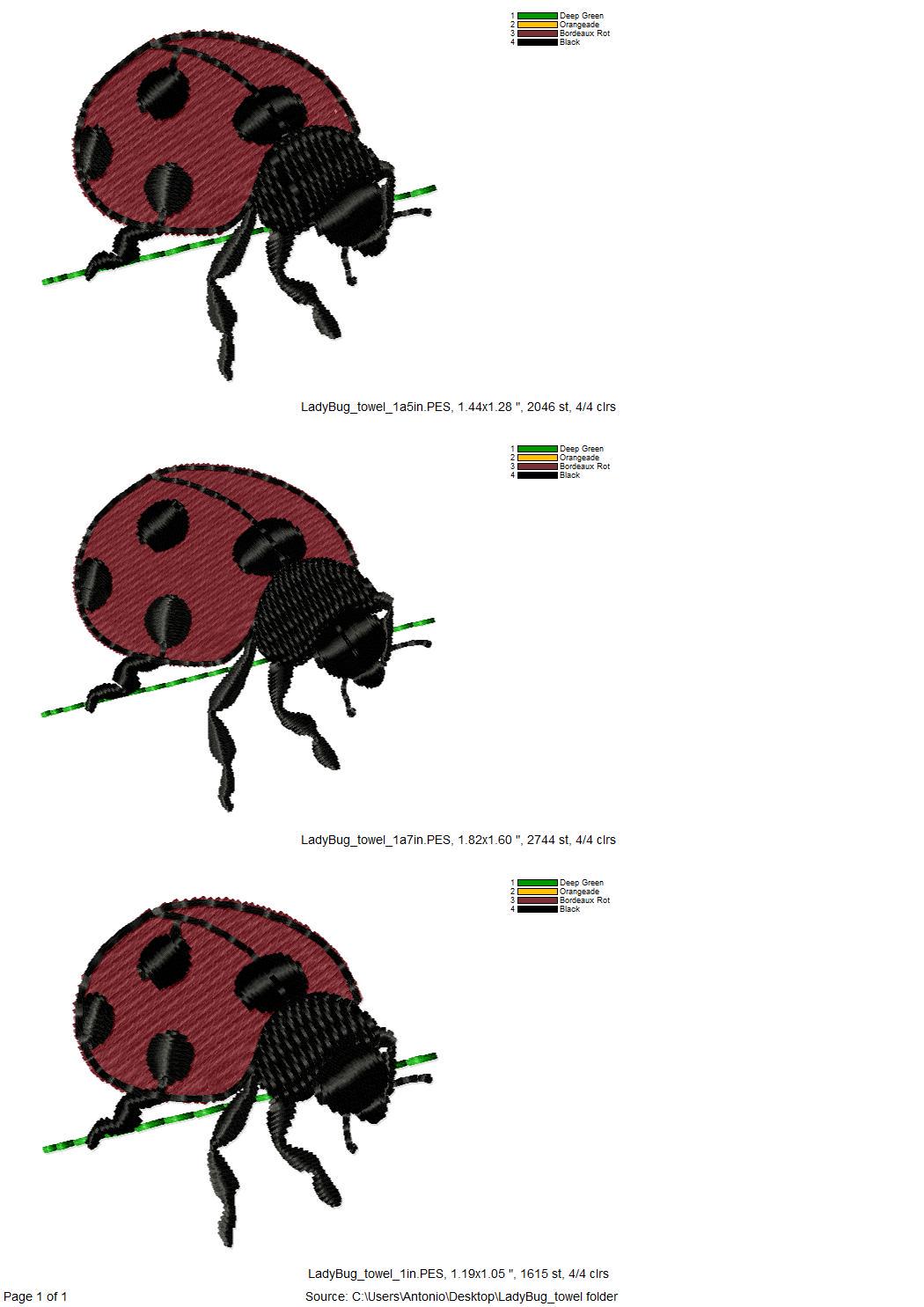 Summer Ladybug Thief