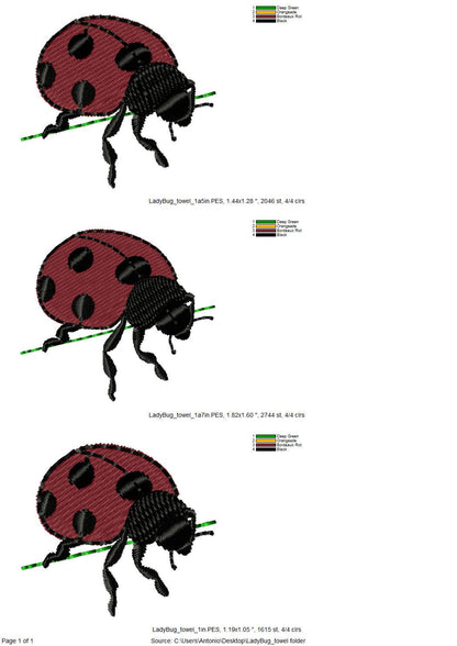 Summer Ladybug Thief