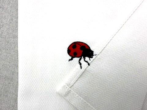 Summer Ladybug bug insect Ladybird thief stealing kitchen dish towel kids machine embroidery designs ITH