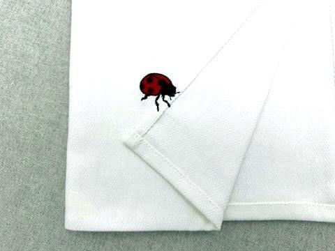 Summer Ladybug Thief