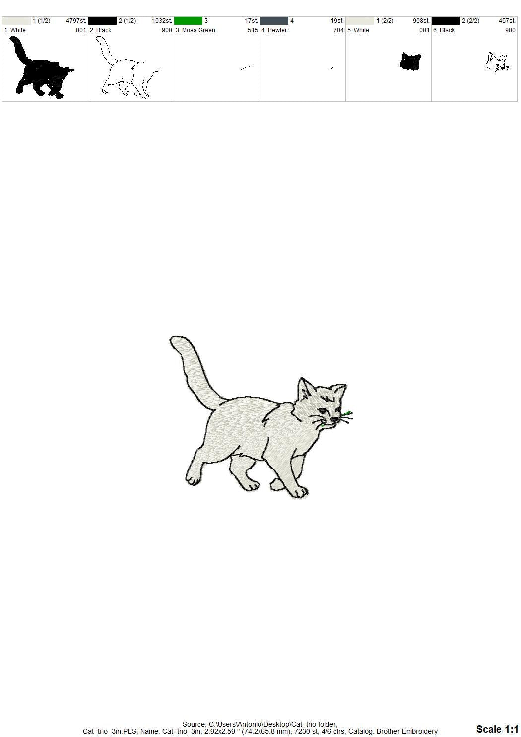 Playing Kitty Cat Set