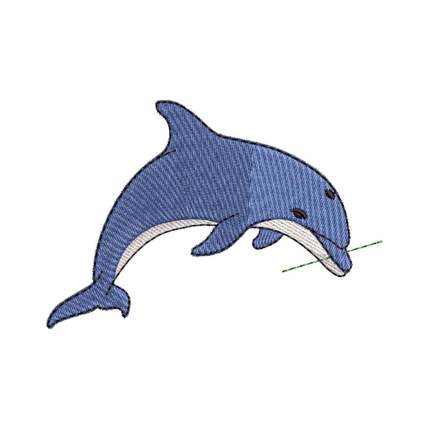 Playing Dolphin Thief