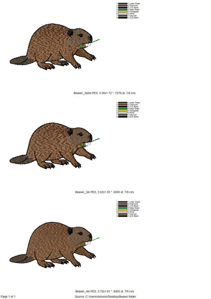 Playing Beaver Thief