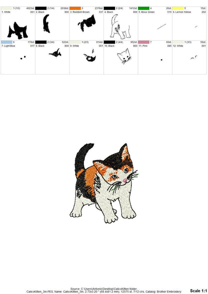 Lovely Playing Calico Kitten