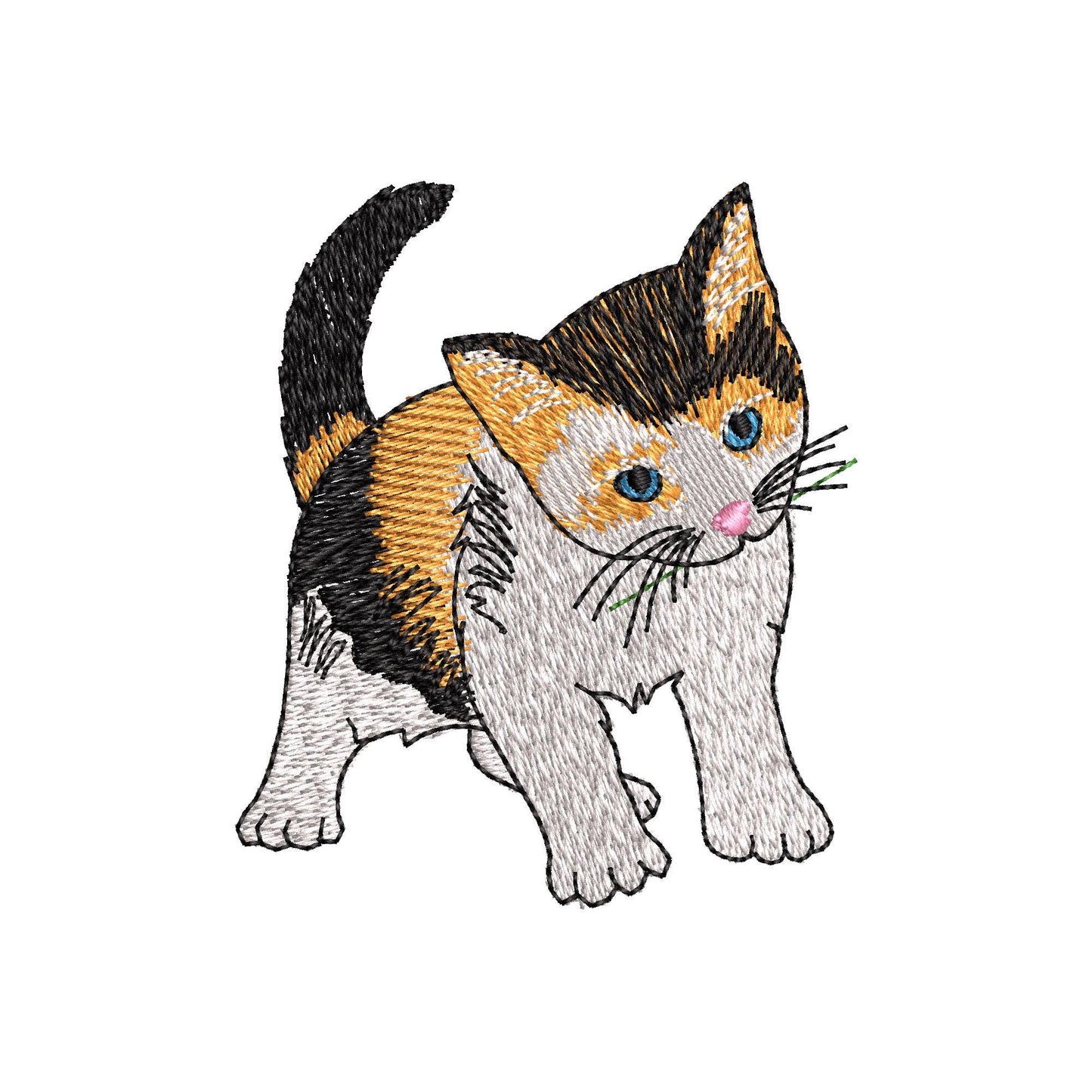 Lovely Playing Calico Kitten